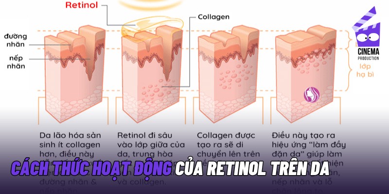 cach-thuc-hoat-dong-cua-retinol